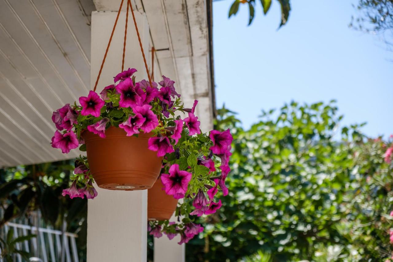Cuore di Milka Apartments Veli Losinj Bagian luar foto